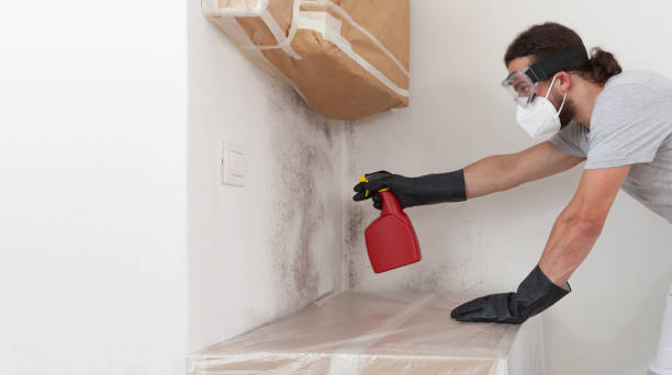 Professional Attic Mold Remediation technician working in West Orange, TX