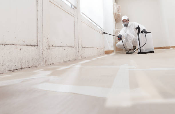 24/7 Emergency Attic Mold Remediation experts in West Orange, TX